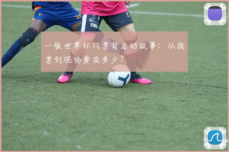 一张世界杯门票背后的故事：从抢票到现场要花多少？