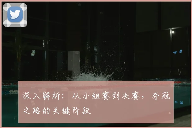 深入解析：从小组赛到决赛，夺冠之路的关键阶段