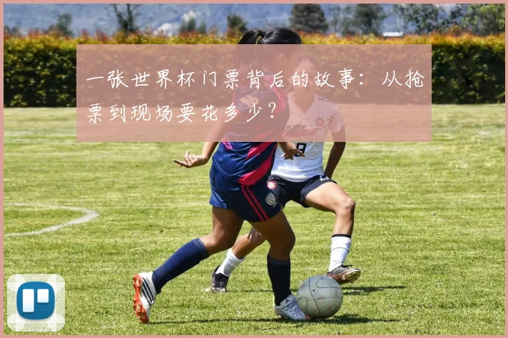 一张世界杯门票背后的故事：从抢票到现场要花多少？