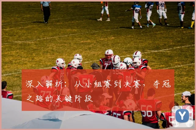 深入解析：从小组赛到决赛，夺冠之路的关键阶段
